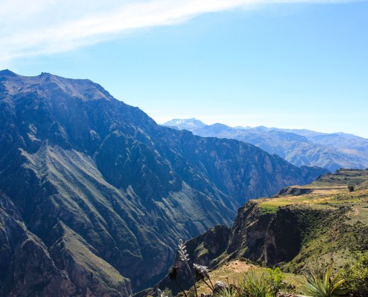 Arequipa – Cañón del Colca